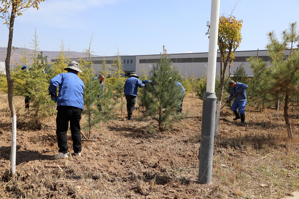 星火機(jī)床物業(yè)公司開展樹木移栽活動